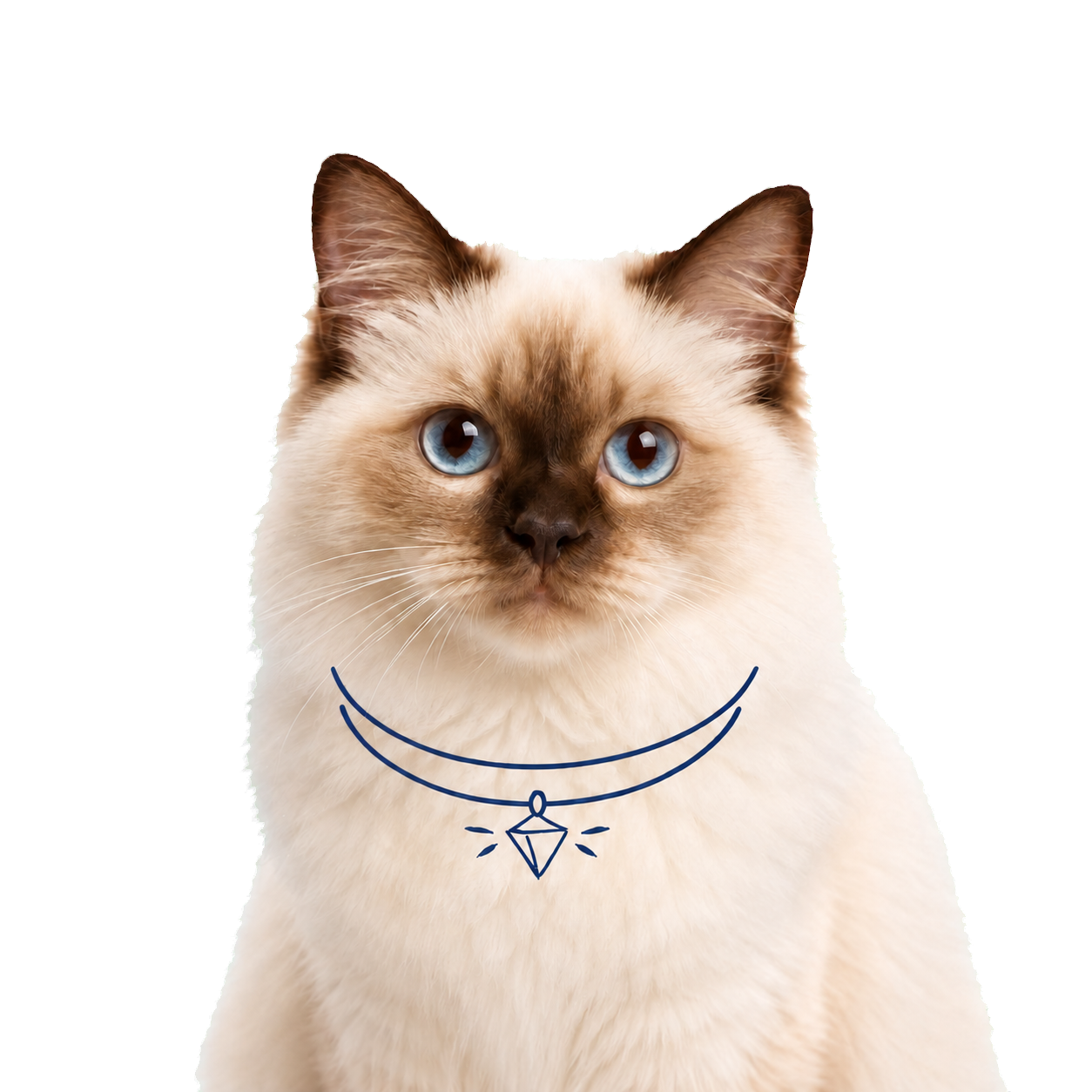 Knupi для кошек